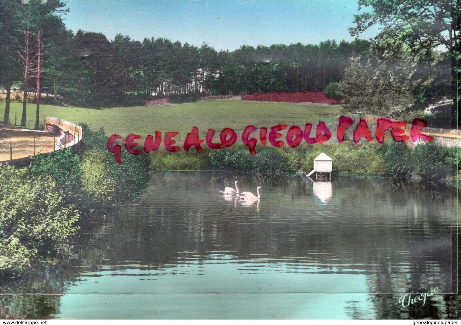 87- CHATEAUNEUF LA FORET - LE SANATORIUM DE BELLEGARDE LES FLEURS - CALME ET TRANQUILITE  CYGNES CYGNE ETANG - Chateauneuf La Foret