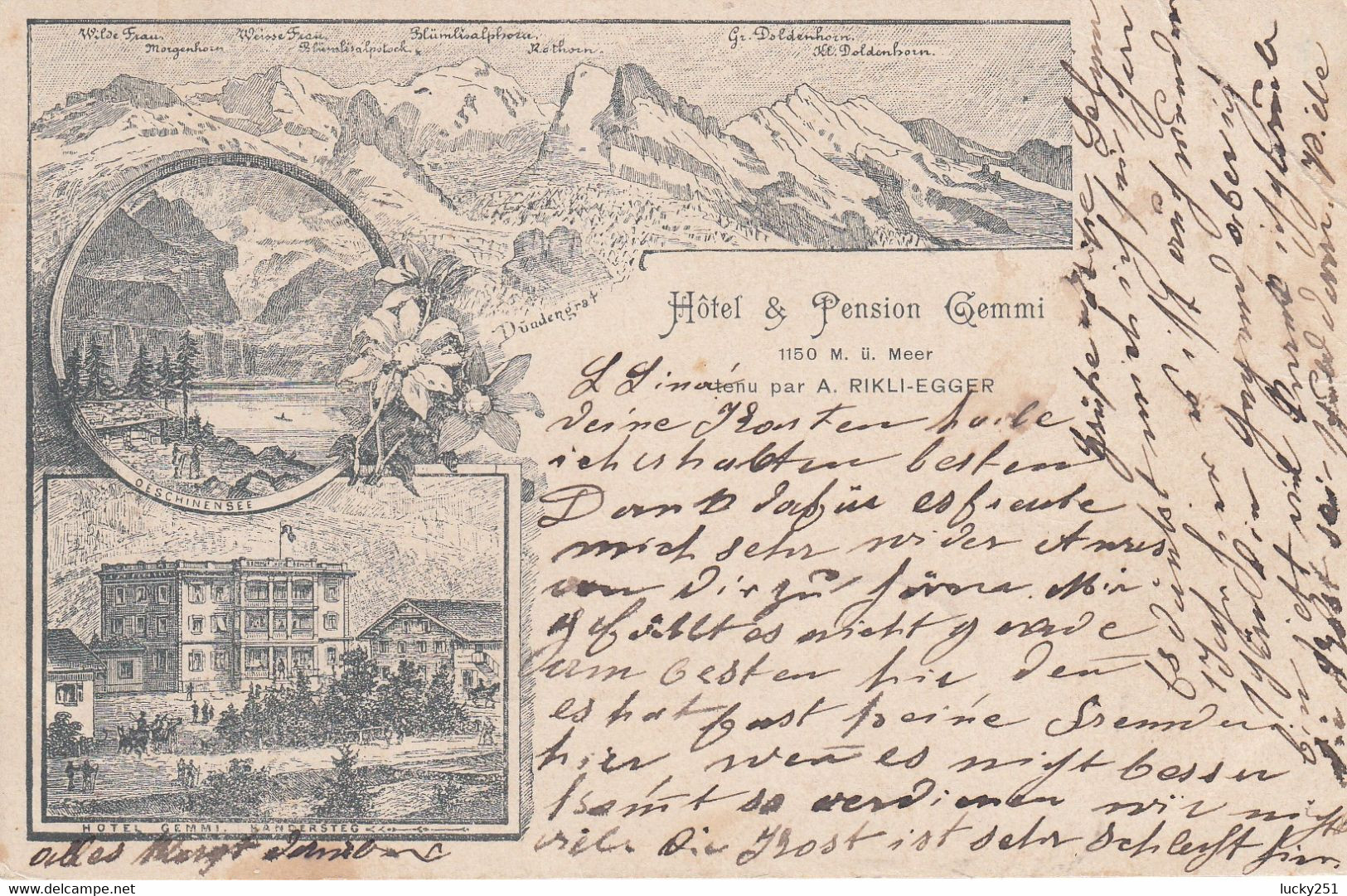 Suisse - Hôtel - Frutigen - Hôtel Pension Gemmi - Circulée 19/02/1902 - Litho - Frutigen