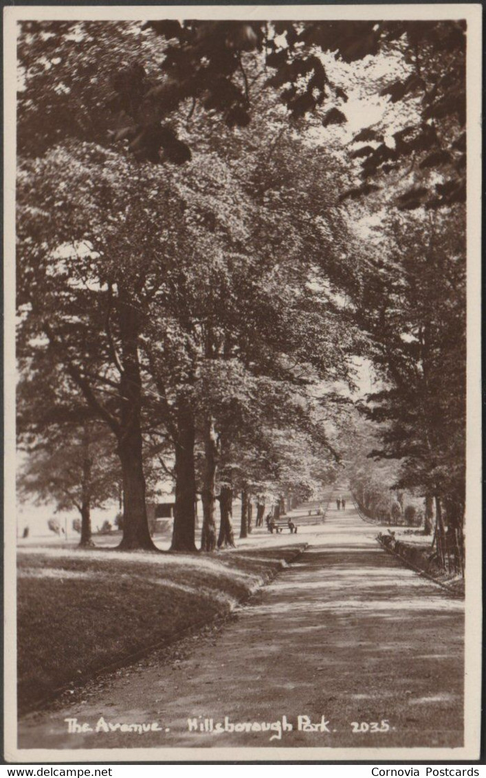 The Avenue, Hillsborough Park, Sheffield, C.1920 - Sneath RP Postcard - Sheffield