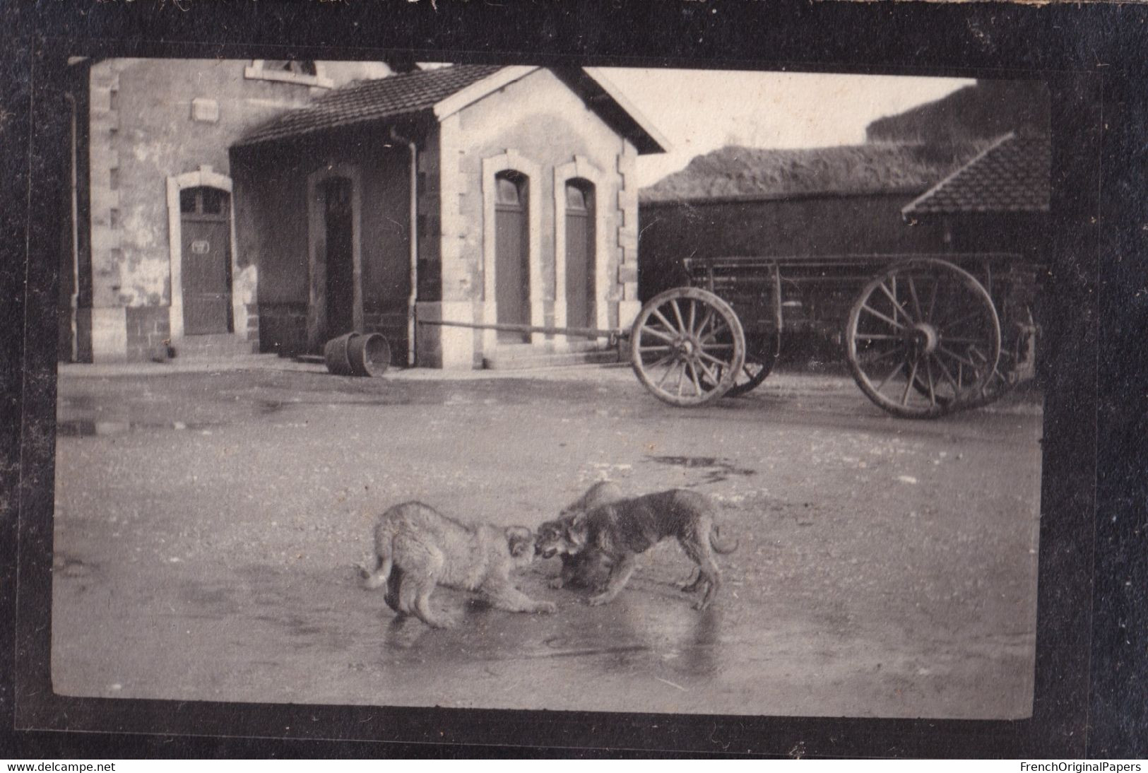 Belfort Dannemarie Superbe album photos Guerre 14-18 WW1 Caserne Quartier Vauban Automobile pompier avion soldat Armée