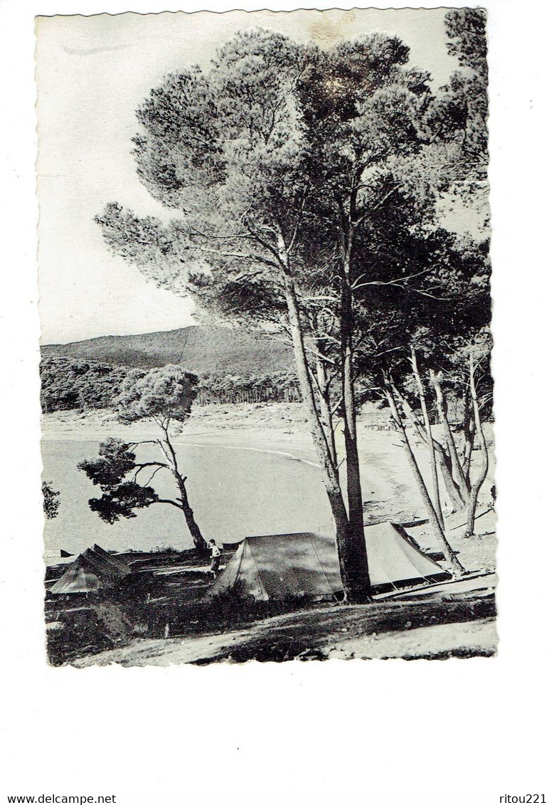 Cpm -  [83] Var > Le Lavandou - Plage De La Favière à Travers Les Pins - Cap 19 - 1952 - Campeur Tente - Le Lavandou