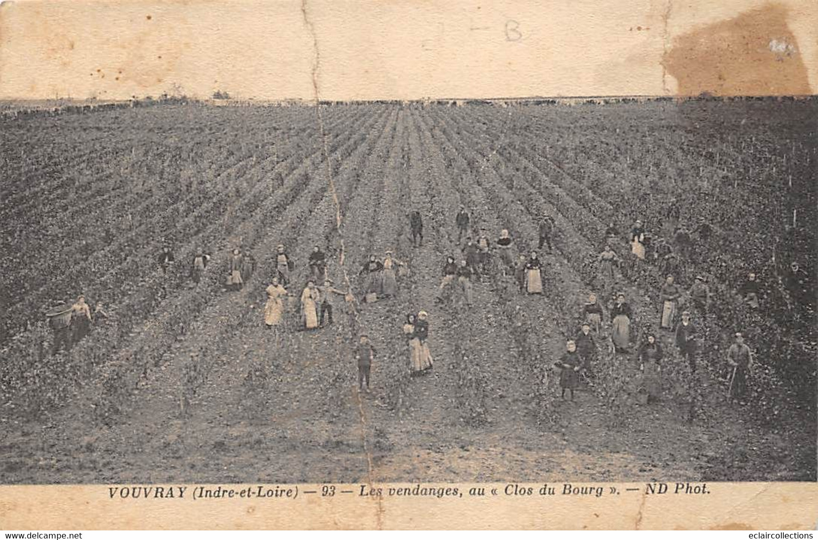 Vouvray          37       Les Vendanges Au Clos Du Bourg   -  Pli  -       (voir Scan) - Vouvray