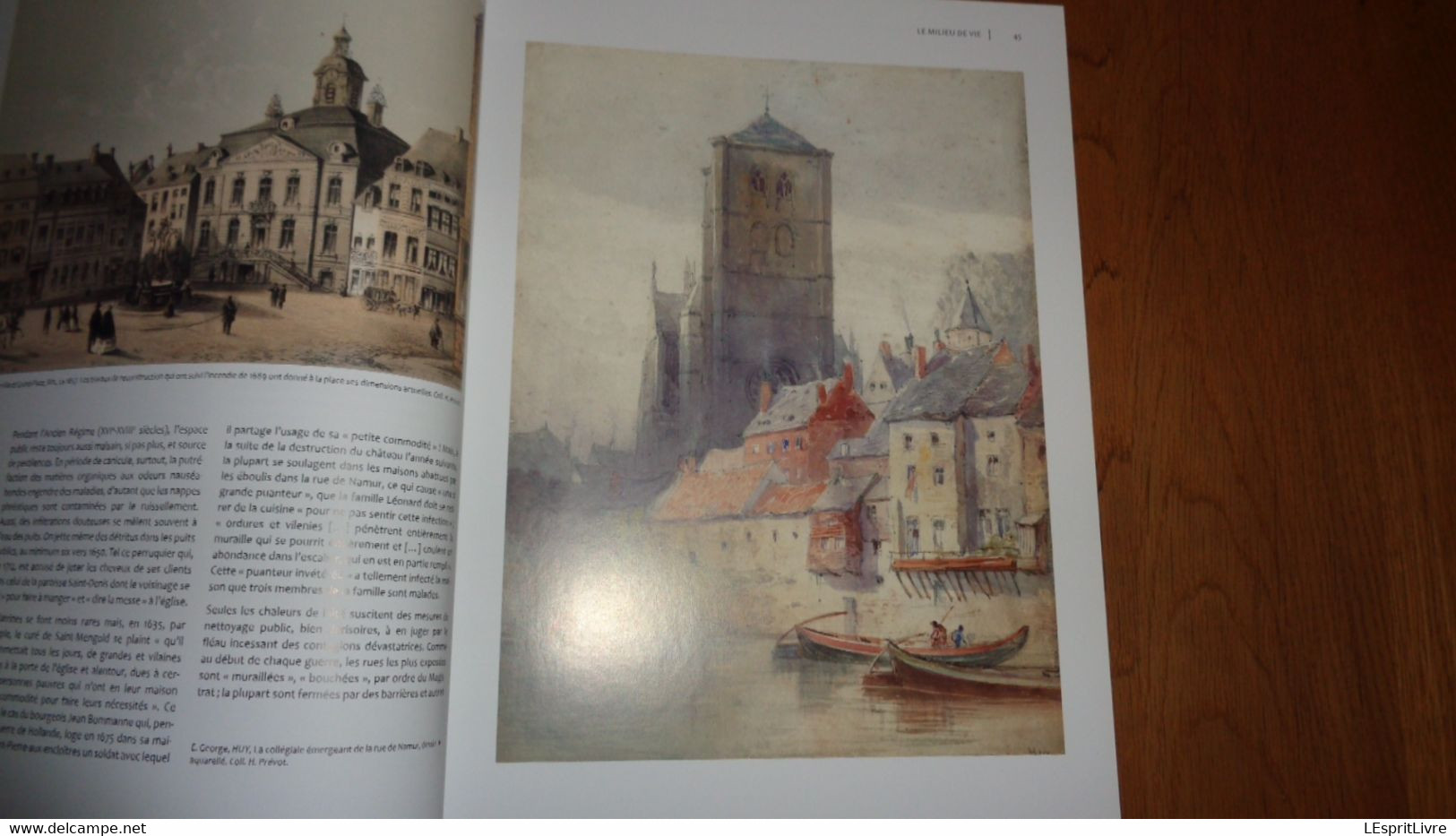 OMBRES ET LUMIERES EN VAL MOSAN Histoire Mouvementée du Pays de Huy Régionalisme Meuse Industrie Moyen Age Guerre 40 45