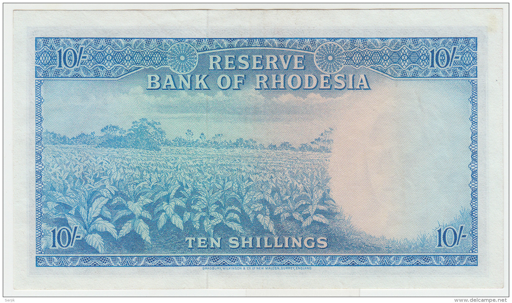 RHODESIA 10 Shillings 1964 XF+ Pick 24a - Rhodesia