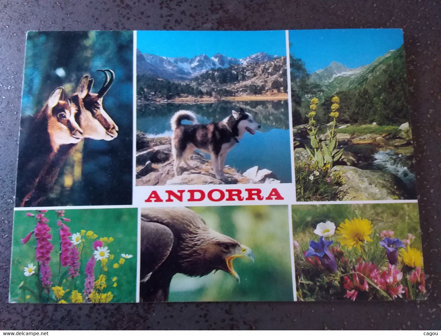 ANDORRE N° 434 TOUR DE FRANCE SUR CARTE POSTALE - Briefe U. Dokumente