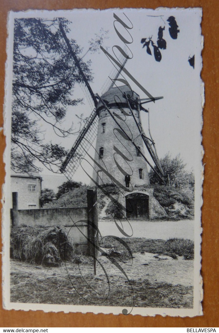 Balegem O.Vl.  Windmolen Moulin A Vent. Mill - Molinos De Viento