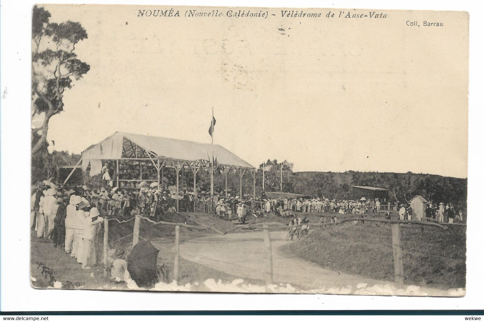 FDO018 / Neukaledonien - 1909 Auf Ansichtskarte Mit Kagu-Vogekmarken (11) - Lettres & Documents