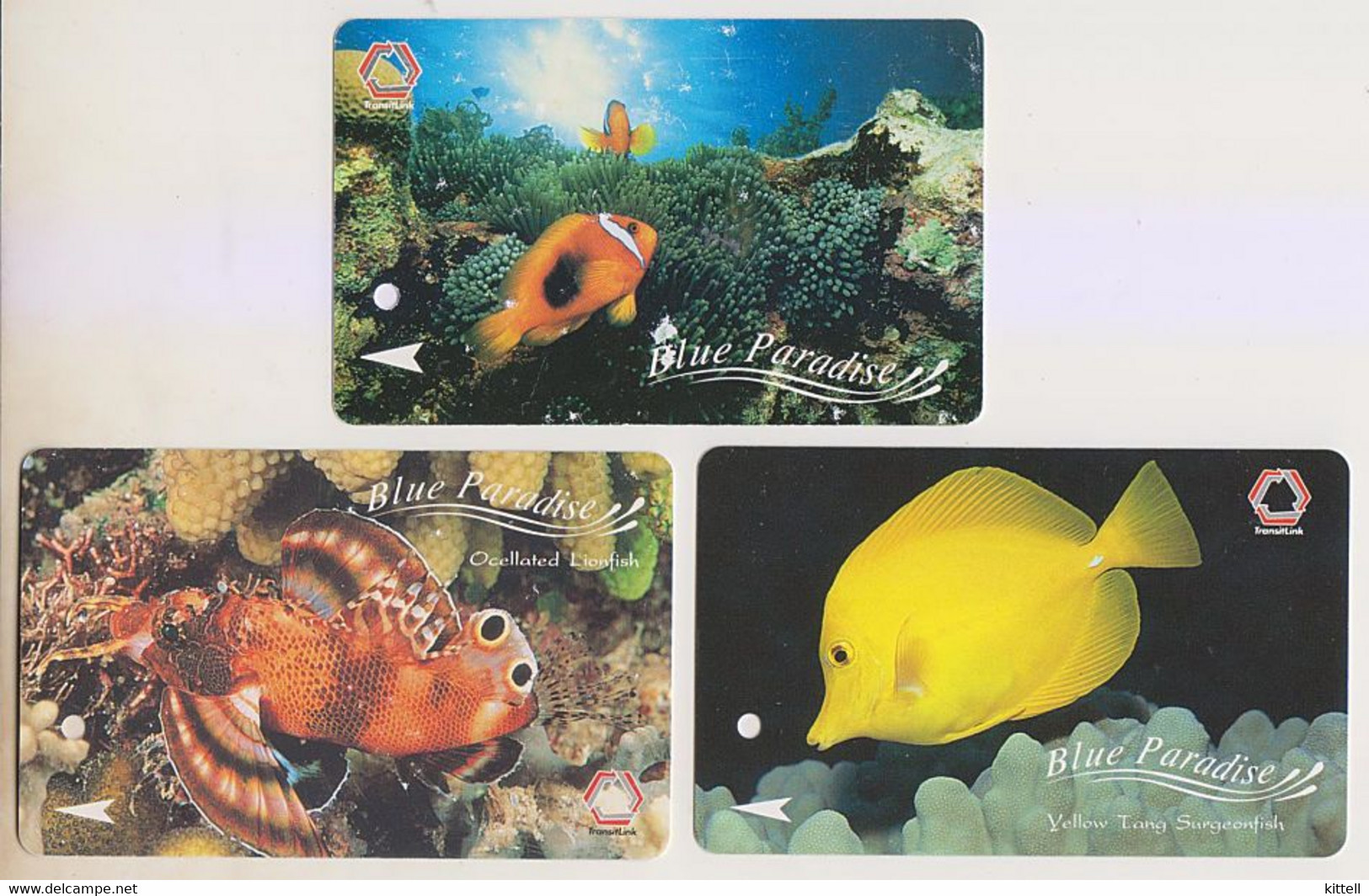 Singapore Old Transport Subway Train Bus Ticket Card Transitlink Used Sea Life Fish 3 Cards - Welt