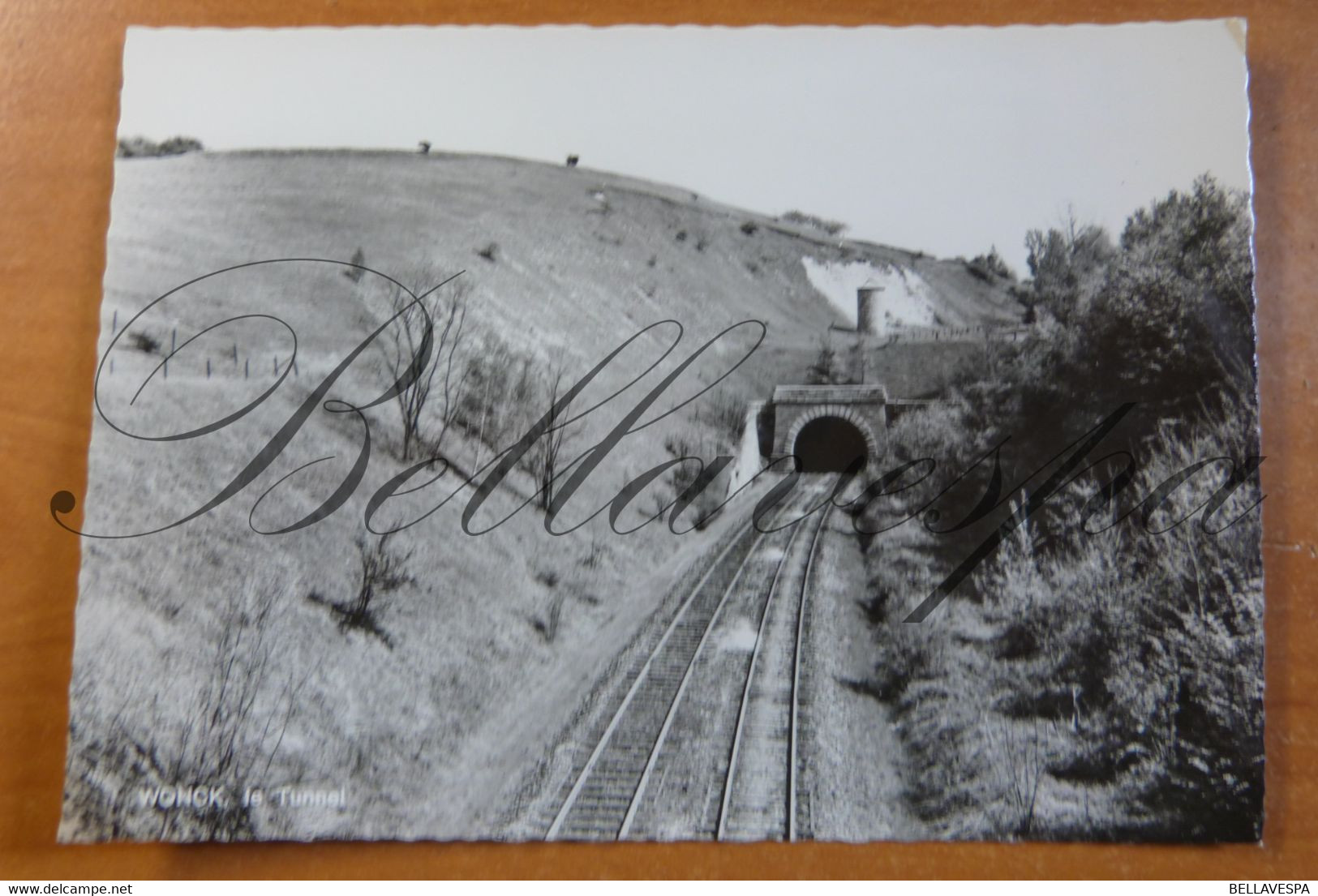 Wonck Le Tunnel.  Chemin De Fer. - Bassenge