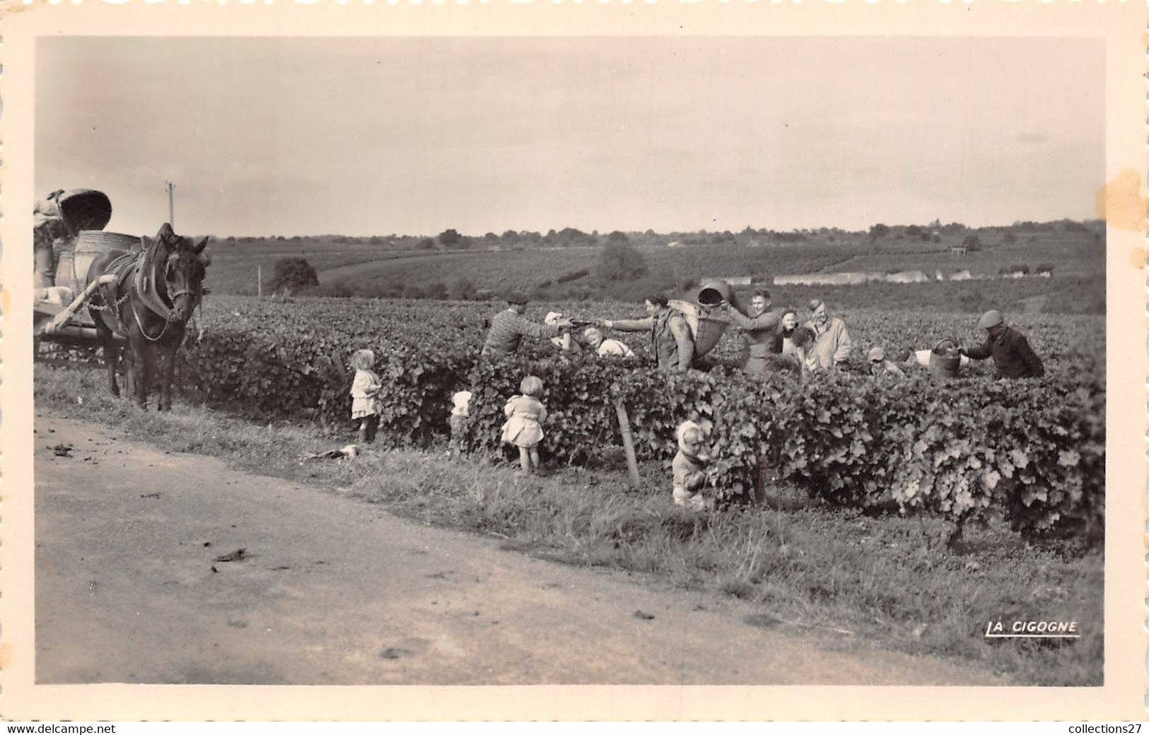 37-VOUVRAY- LES VINS- LES VENDANGES - Vouvray