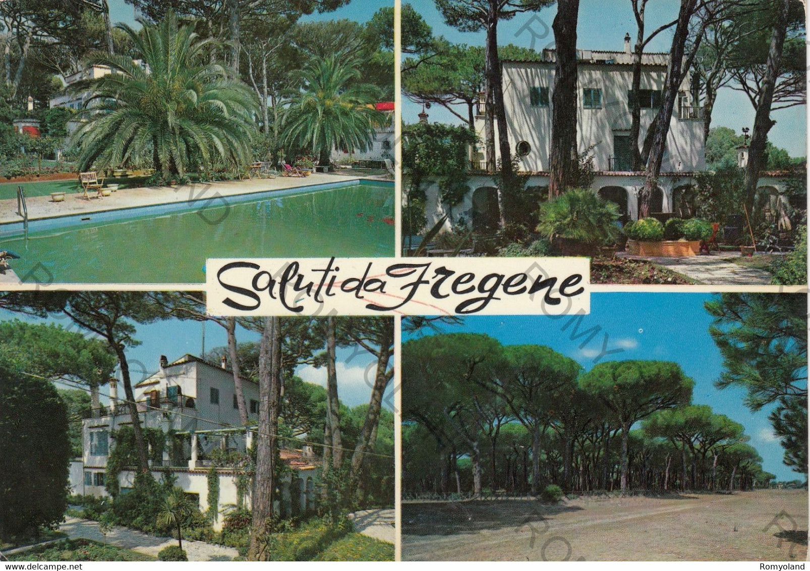 CARTOLINA  SALUTI DA FREGENE,FIUMICINO,LAZIO,BELLA ITALIA,STORIA,MEMORIA,CULTURA,RELIGIONE,IMPERO ROMANO,VIAGGIATA 1969 - Fiumicino