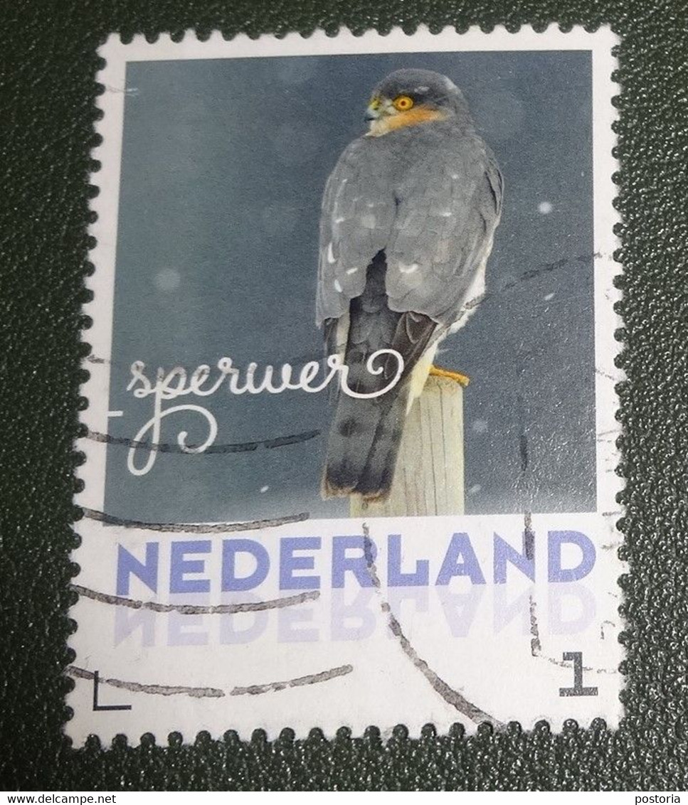 Nederland - NVPH - 3013 - Vogels - 2017 - Persoonlijk Gebruikt - Cancelled - Vogels - Sperwer - Personnalized Stamps