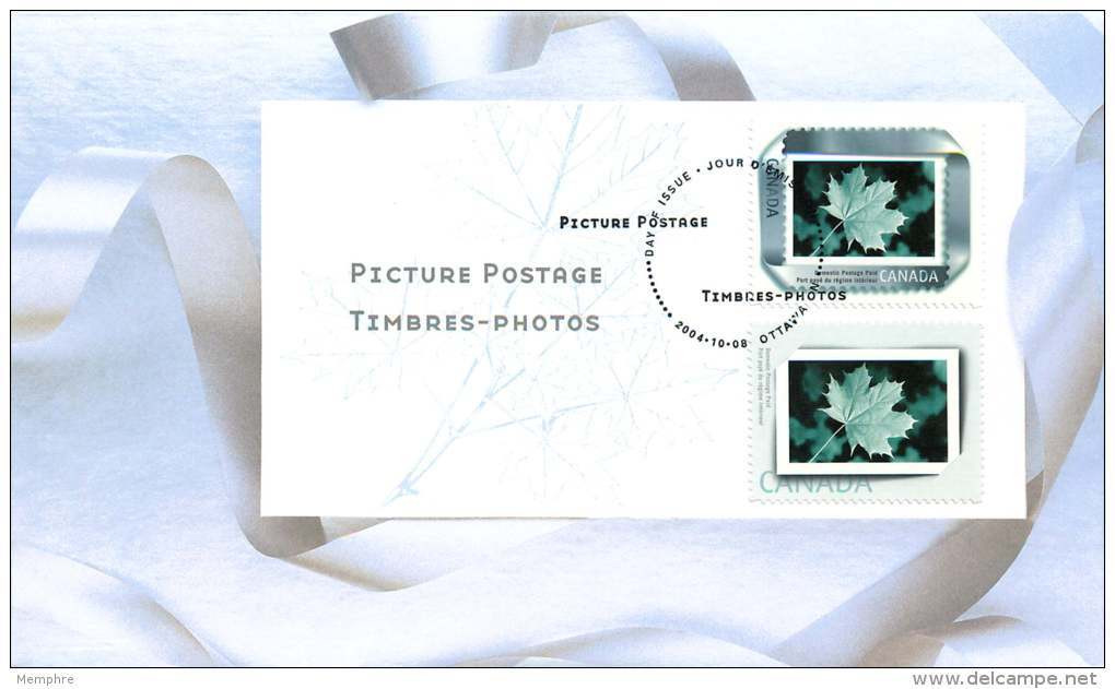 2004  Picture Postage, New Frames  Sc 2063-4 - 2001-2010