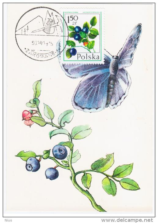 Poland Polska 1990 Bilberry Berry Berries Butterfly Butterflies Flora Plants In Zakopane Canceled - Maximum Cards