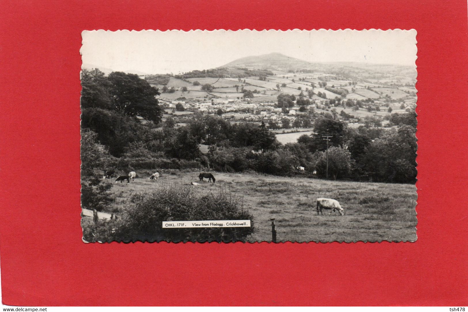 PAYS DE GALLES---CRICKHOWELL--view From Flodogg---voir 2 Scans - Breconshire