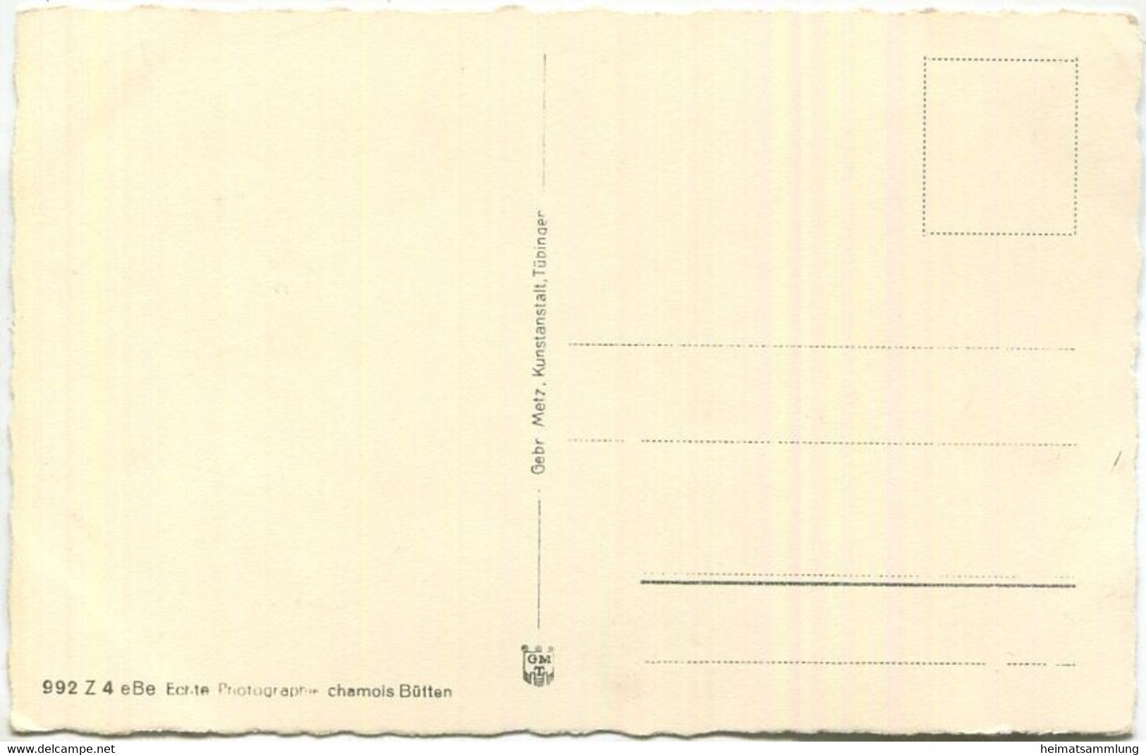 Wehlen - Foto-Ansichtskarte - Verlag Gebr. Metz Tübingen - Wehlen