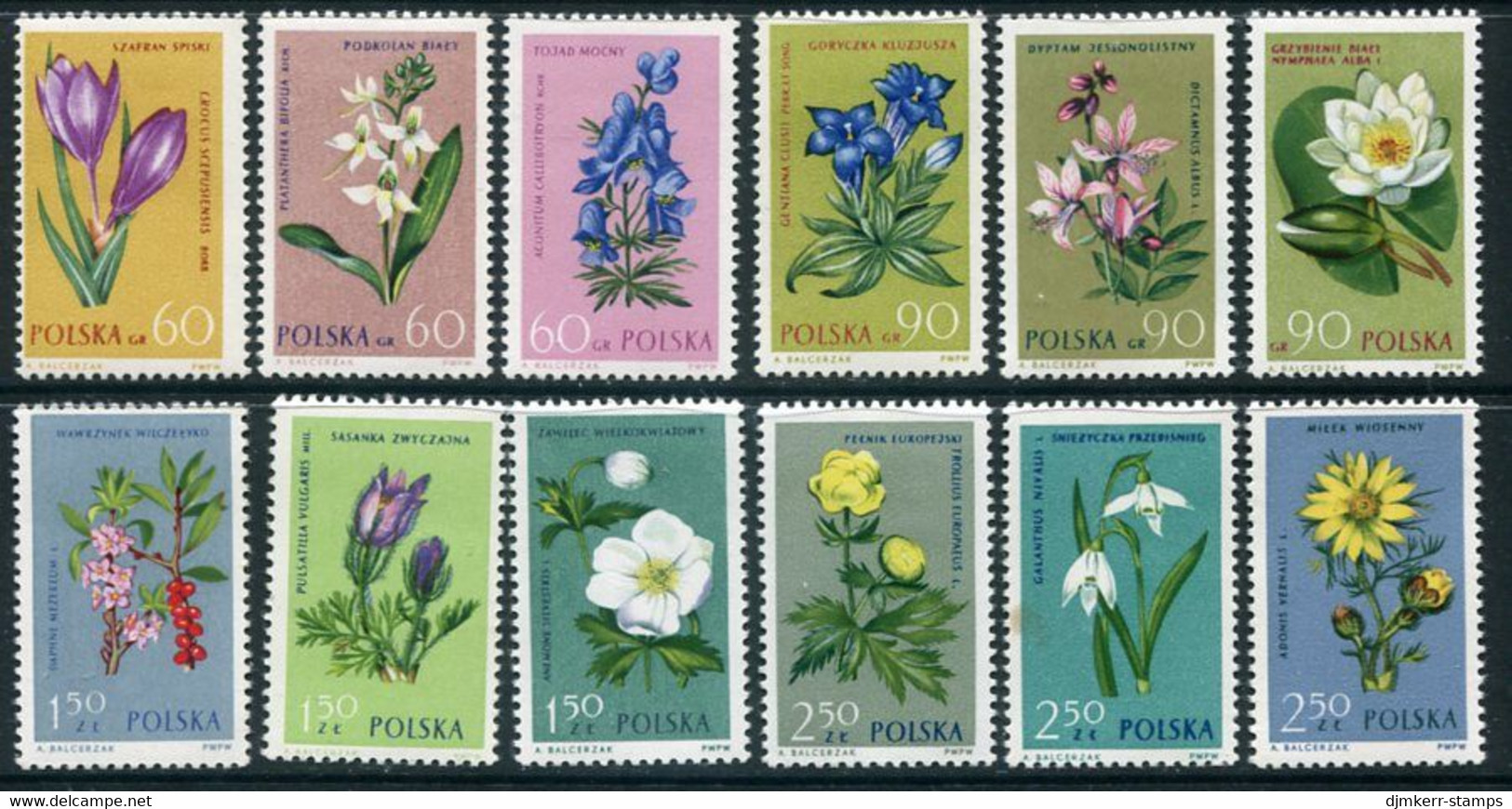 POLAND 1962 Protected Plants  MNH / **.  Michel 1325-36 - Unused Stamps