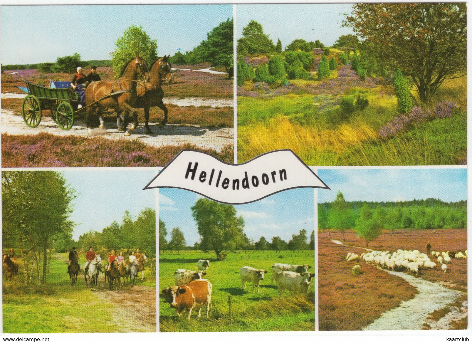 Hellendoorn - (Ov, Nederland) - Nr. L 1927 - Uitg.: A.N.W.B. Bondsvakantieoord 'De Gouden Bergen', Terhoekseweg 4 - Hellendoorn