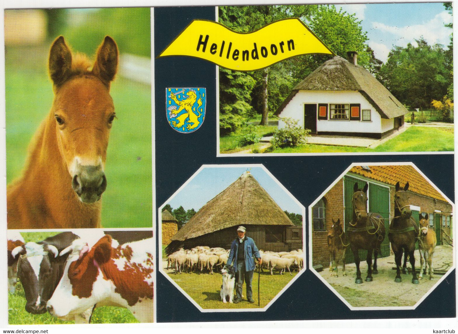 Hellendoorn - (Ov, Nederland) - Nr. L 3368 - Uitg.: A.N.W.B. Bondsvakantieoord 'De Gouden Bergen', Terhoekseweg 4 - Hellendoorn