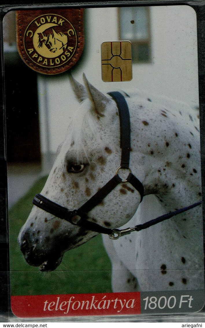 HUNGARY 2004 PHONECARD HORSES MINT VF!! - Paarden