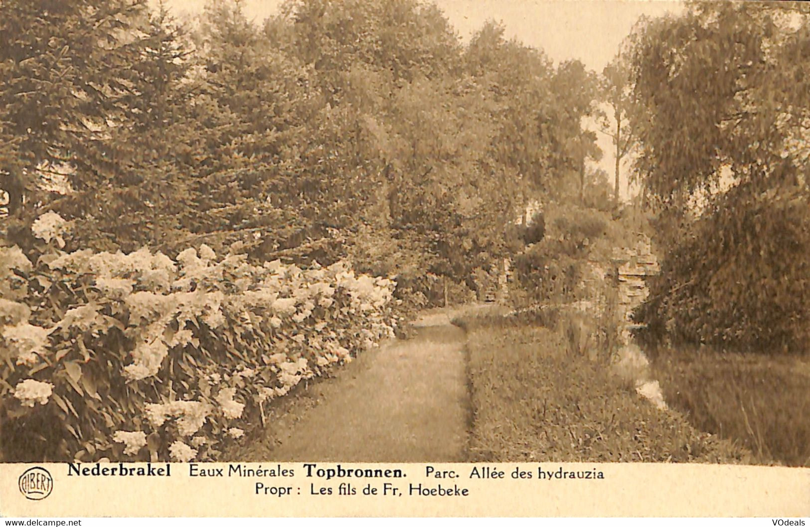 035 667 - CPA - Belgique - Nederbrakel - Eaux Minérales Topbronnen - Parc - Alléedes Hydrauzia - Brakel