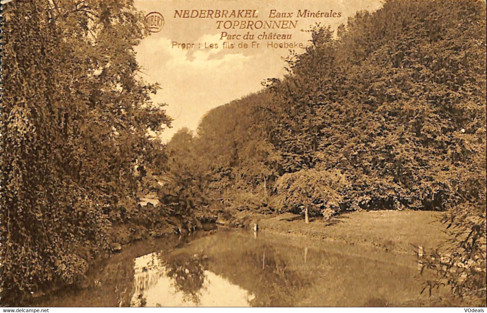 035 674 - CPA - Belgique - Nederbrakel - Eaux Minérales Topbronnen - Parc Du Château - Brakel