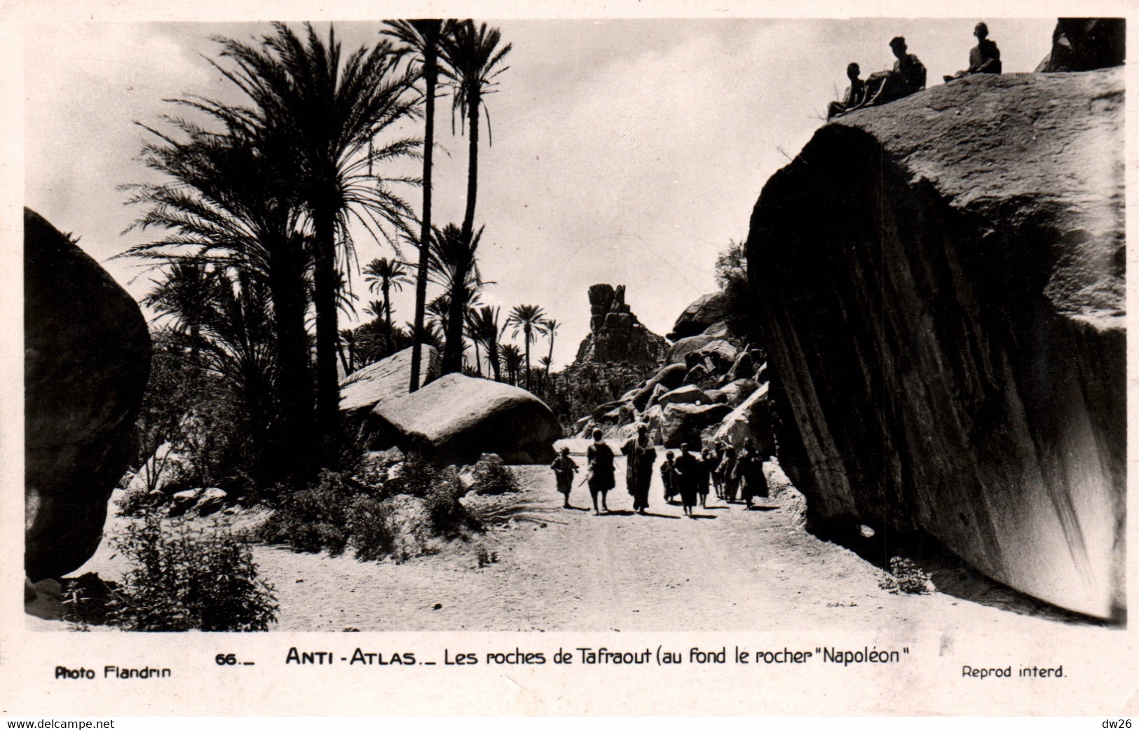 Anti-Atlas (Maroc) Les Roches De Tafraout, Au Fond Le Rocher Napoléon - Photo Flandrin - Carte N° 66 Non Circulée - Autres & Non Classés
