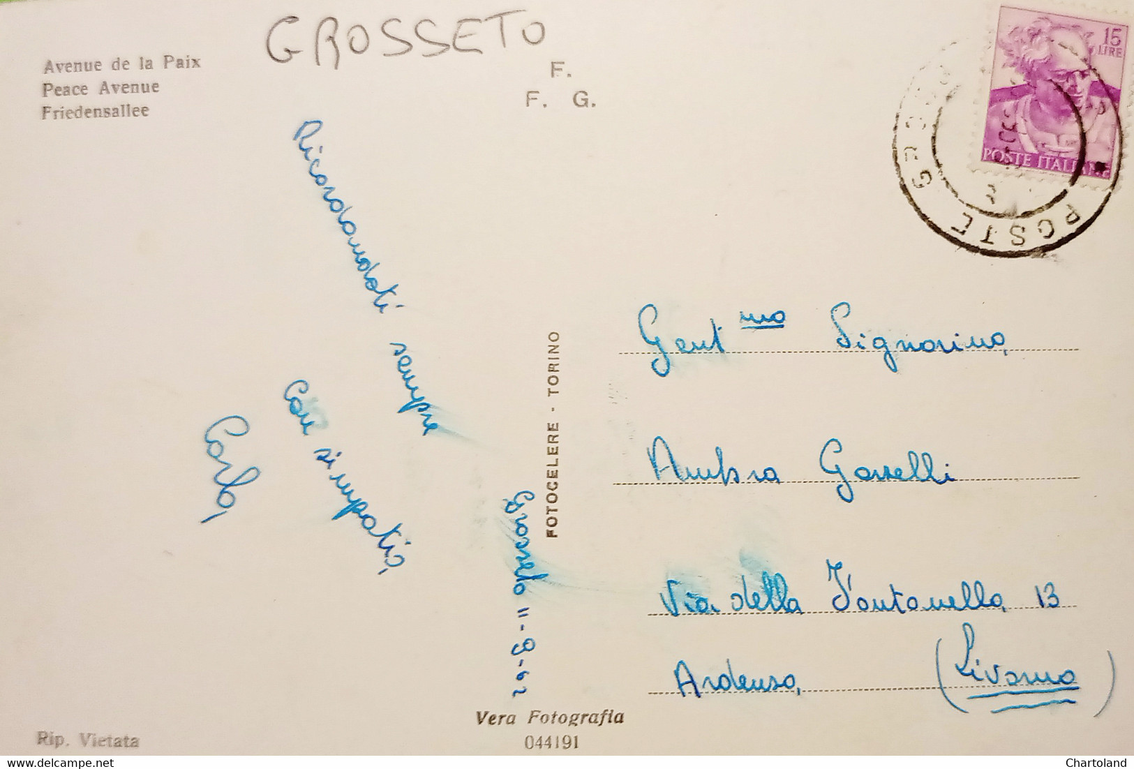 Cartolina - Grosseto - Viale Della Pace - 1955 Ca. - Grosseto