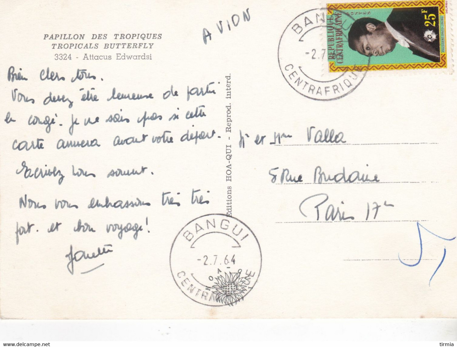 Papillon Des Tropiques - Centrafrique - Bangui - 1964 - Papillons