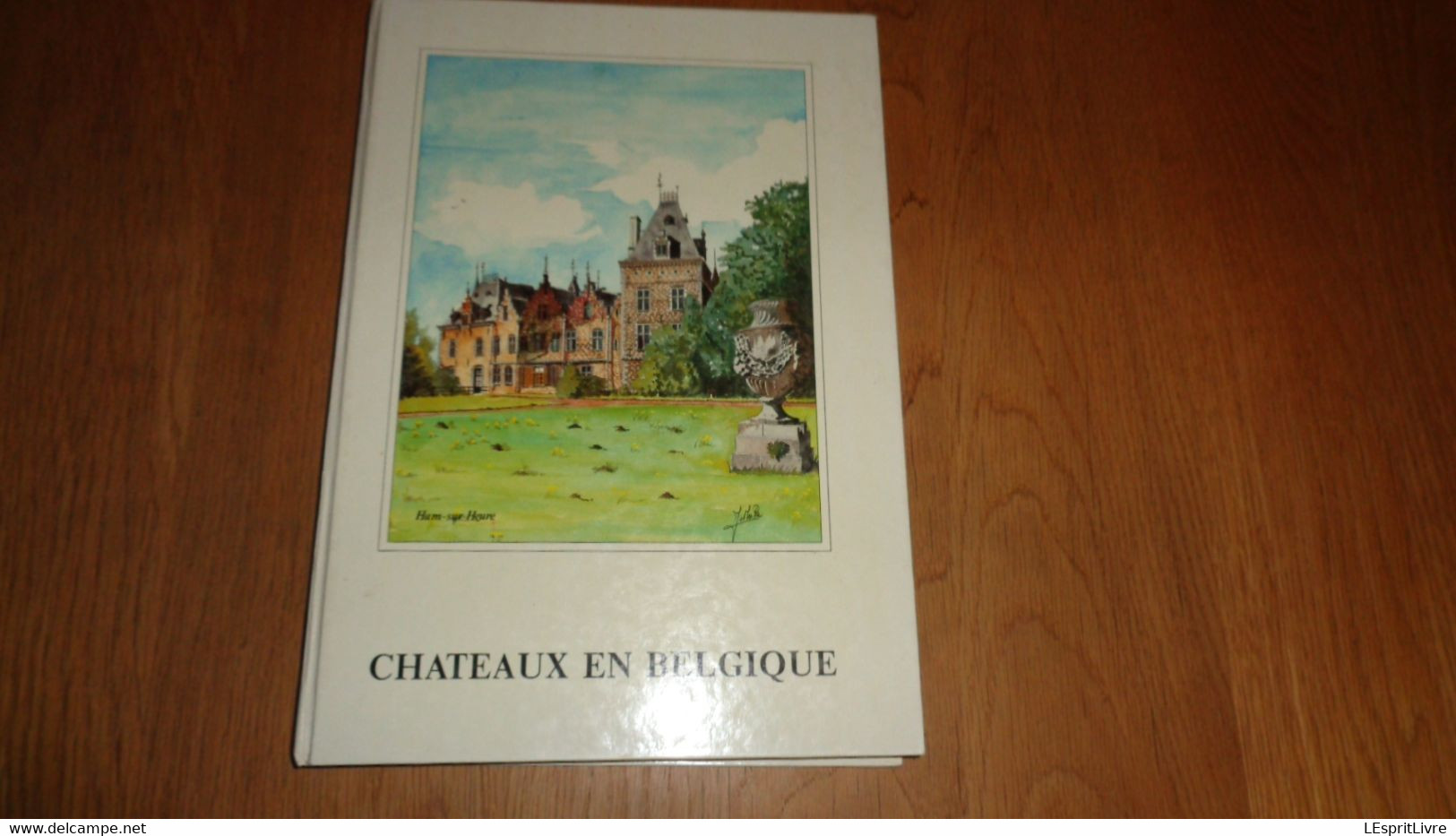 CHÂTEAUX DE BELGIQUE Album Chromos Delhaize Château Attre Chimay Franchimont Pont D'Oye Beersel Arenbeg Gaasbeek Horst - Belgique