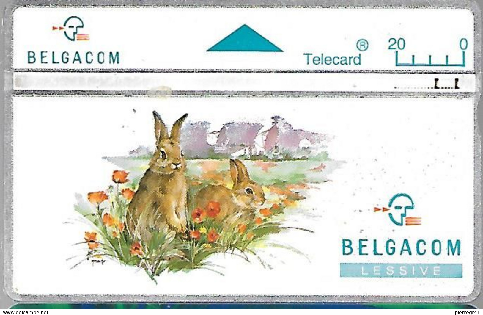 CARTE-HOLOGRAPHIQUE-BELGE-20U-LAPIN-TBE - Konijnen