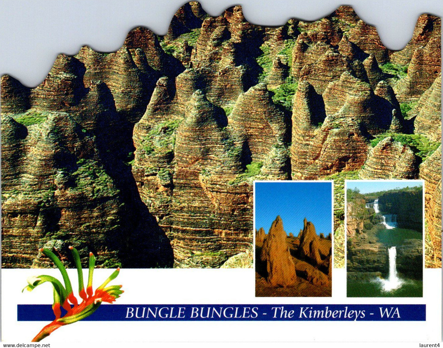 (5 A 11) Australia - WA - Bungle Bungles Kimberley UNESCO (Shape Card) - Andere & Zonder Classificatie