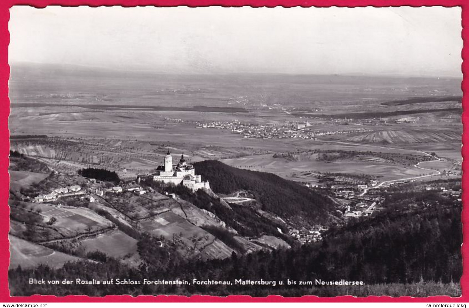 AK: Echtfoto - Blick Von Der Rosalia Auf Schloss Forchtenstein, Gelaufen 18. VII. 1962 ( Nr. 5198) - Forchenstein