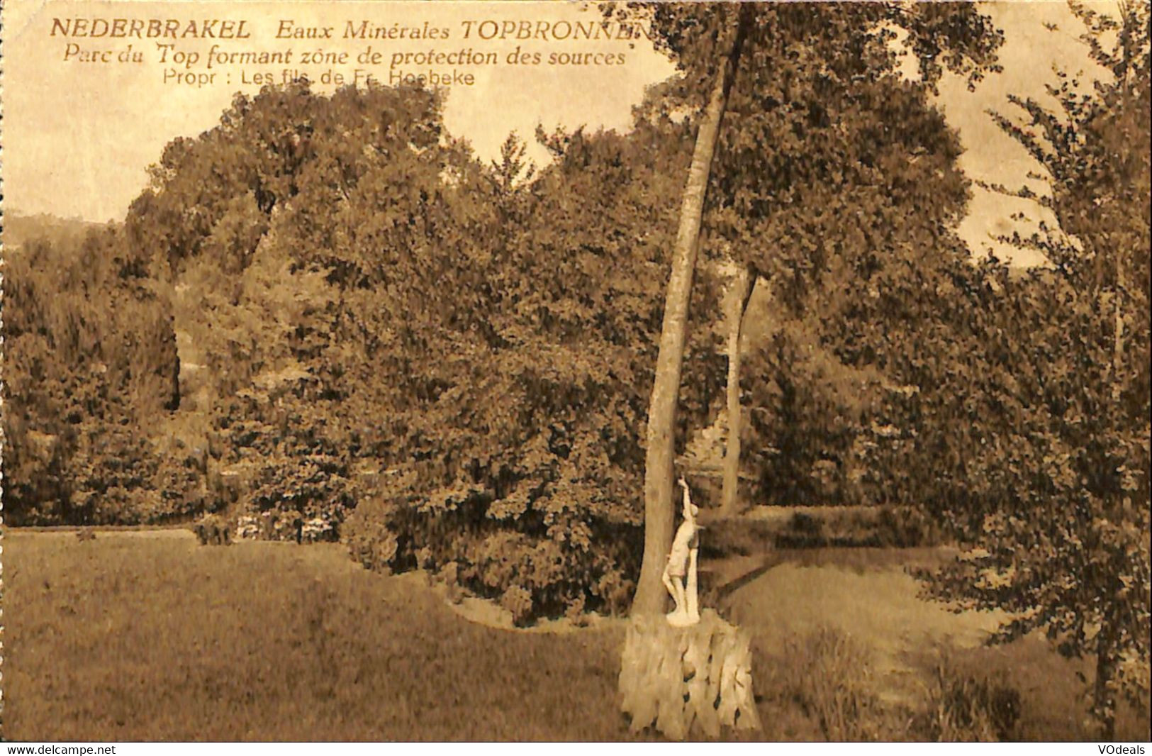 035 693 - CPA - Belgique - Nederbrakel - Euaux Minerales Topbronnen - Parc Du Top - Brakel