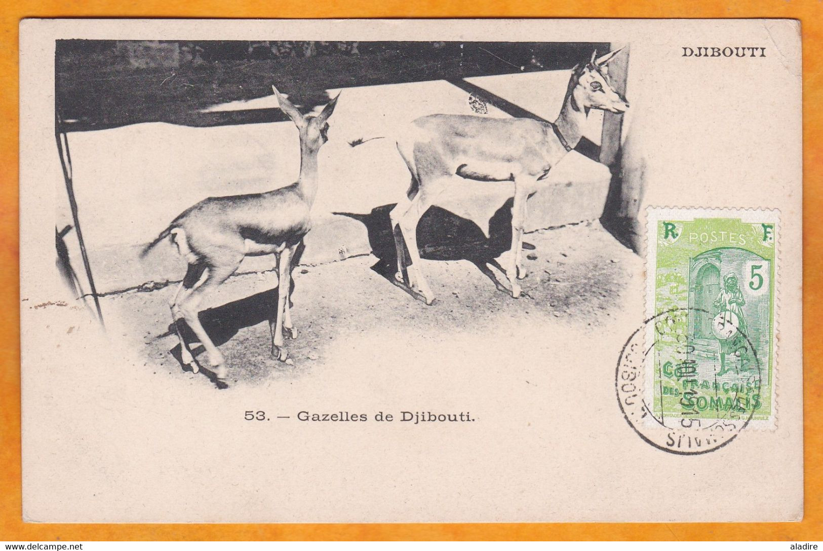 1915 - CP De Djibouti, Côte Française Des Somalis Vers Paris - Affranchissement 5 C Seul - Gazelles - Covers & Documents