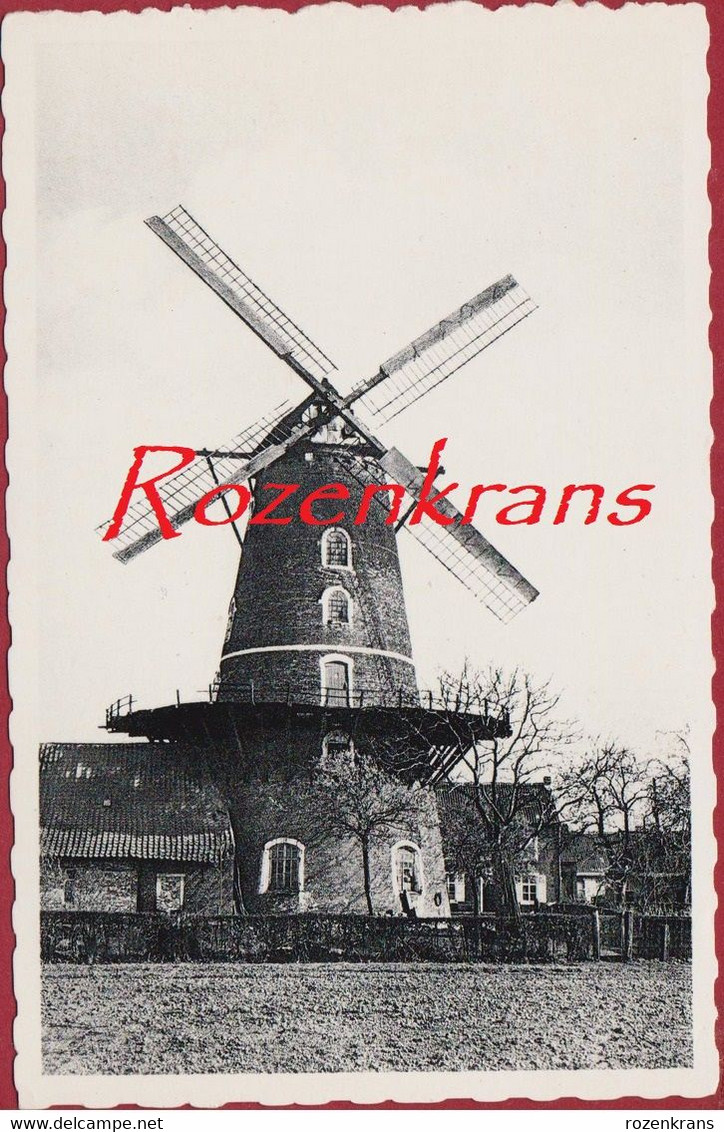 Sint-Pauwels Windmolen Roomanmolen St. Sint Gillis Waas Waasland Moulin A Vent Windmill (In Zeer Goede Staat) - Sint-Gillis-Waas