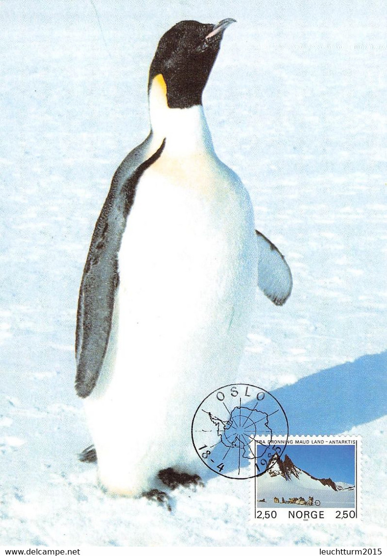 ARCTIS/ANTARCTIC - SMALL COLLECTION COVERS, FDC / QG103