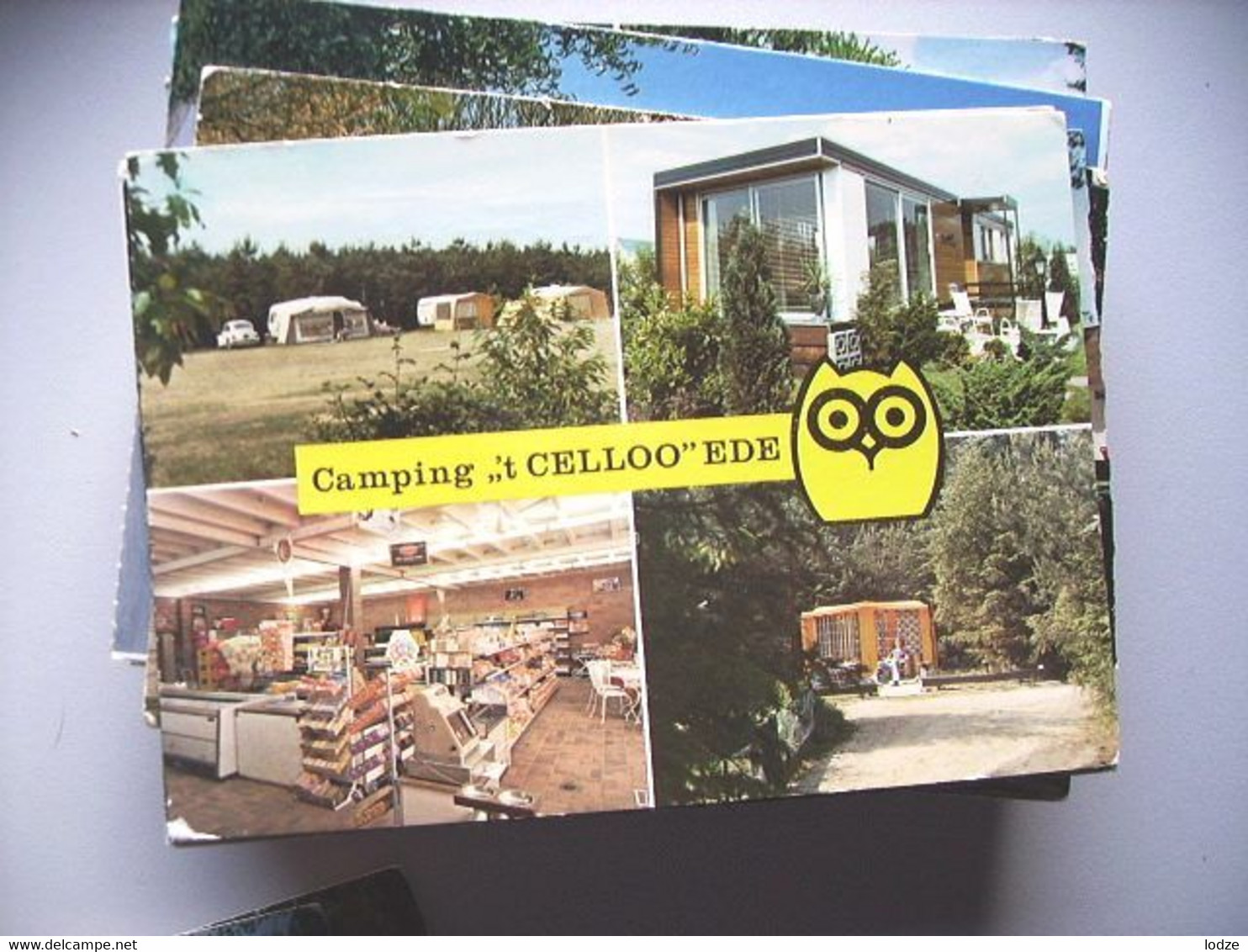 Nederland Holland Pays Bas Epe Met Camping 't Celloo - Epe