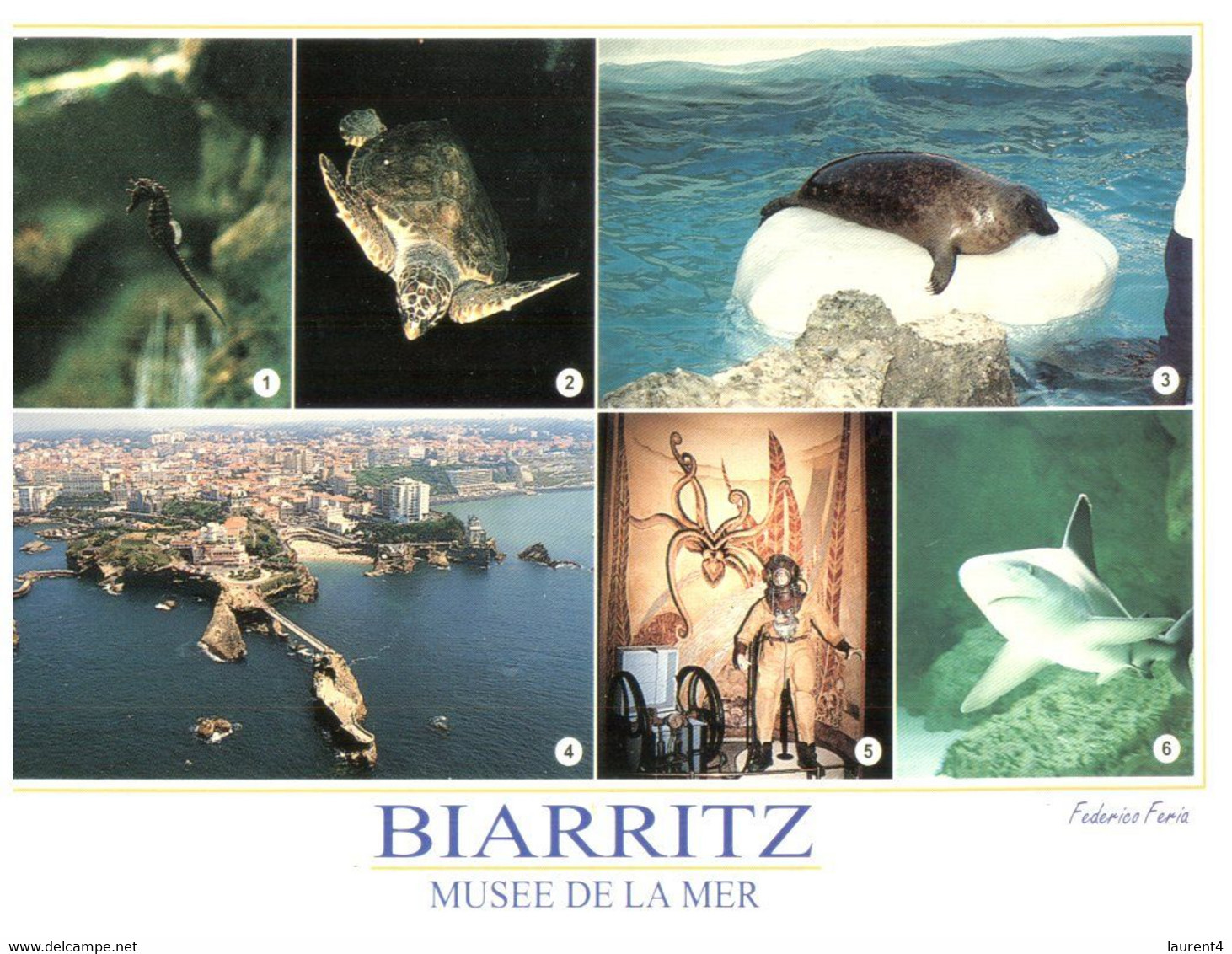 (TT 30) France - Boatrritz Aquarium (with Tortoise, Seal And Shark) Tortue Etc - Tortugas