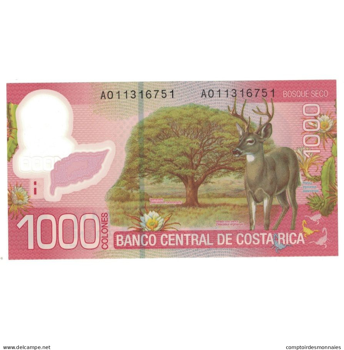 Billet, Costa Rica, 1000 Colones, 2009, 2009-09-02, KM:274, NEUF - Costa Rica