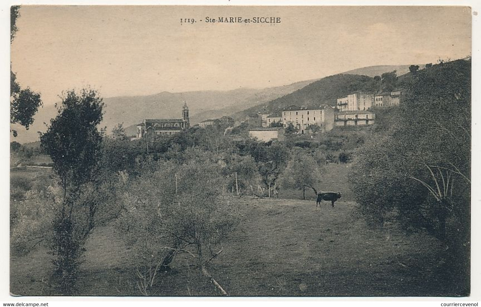 CPA - Ste Marie Et Sicche (Corse Du Sud) - (Vue Générale) - Sonstige & Ohne Zuordnung