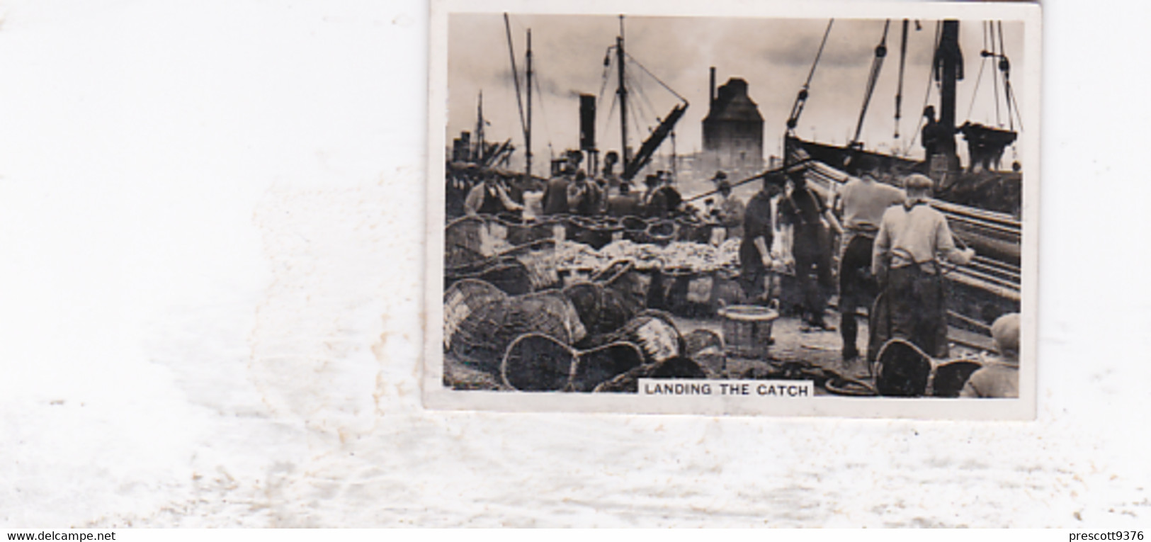 Yarmouth Landing The Catch  - Coastwise Series - Photographic Image - 1939 - 8x5cm - Geografia