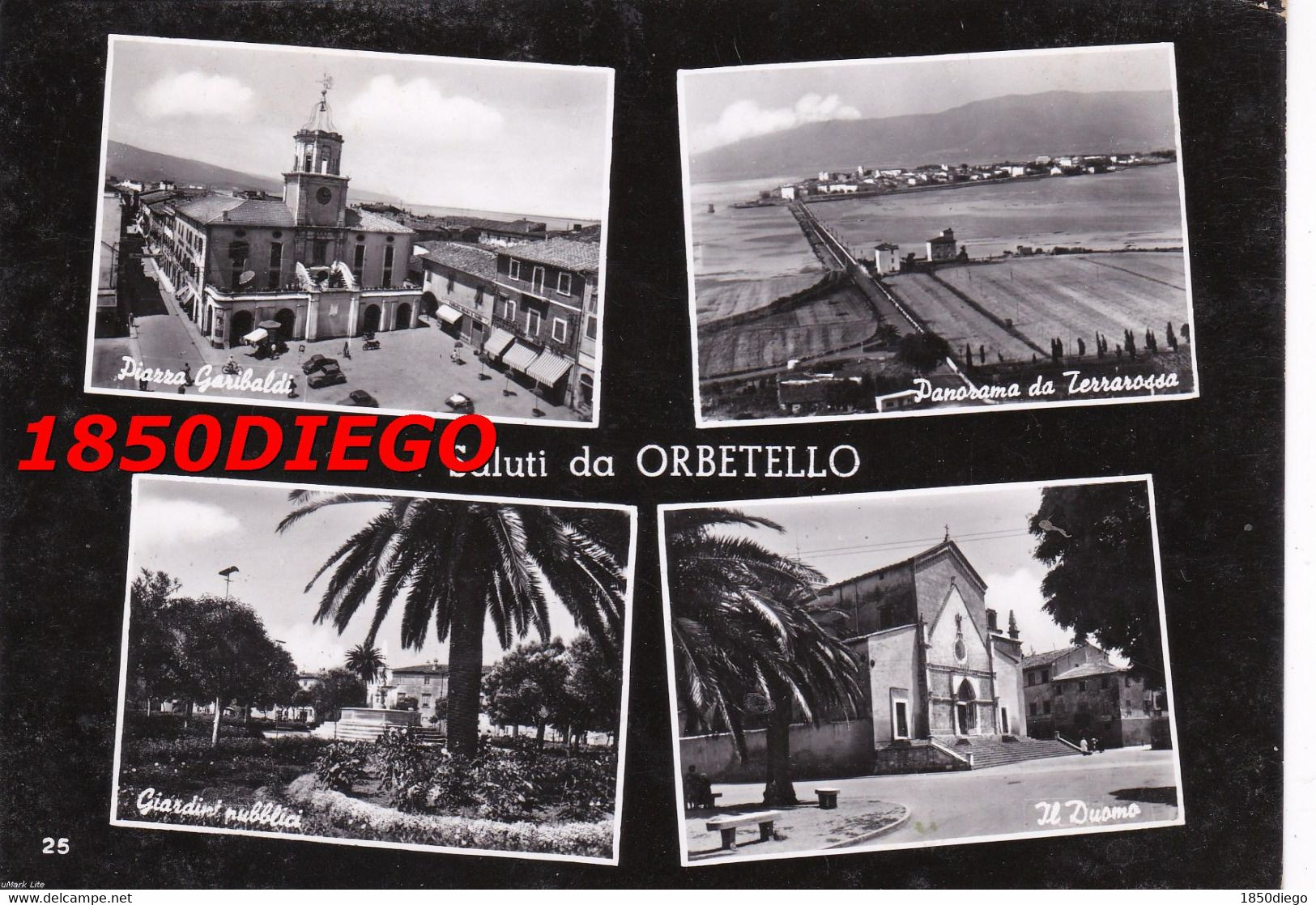 SALUTI DA ORBETELLO - MULTIVEDUTE  F/GRANDE VIAGGIATA 1955 ANIMAZIONE - Grosseto