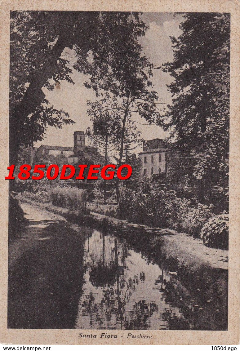 S. FIORA - PESCHIERA F/GRANDE VIAGGIATA 1950 - Grosseto