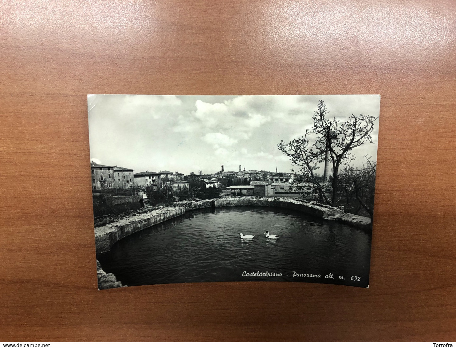 CASTELDELPIANO ( GROSSETO ) PANORAMA 1954 - Grosseto