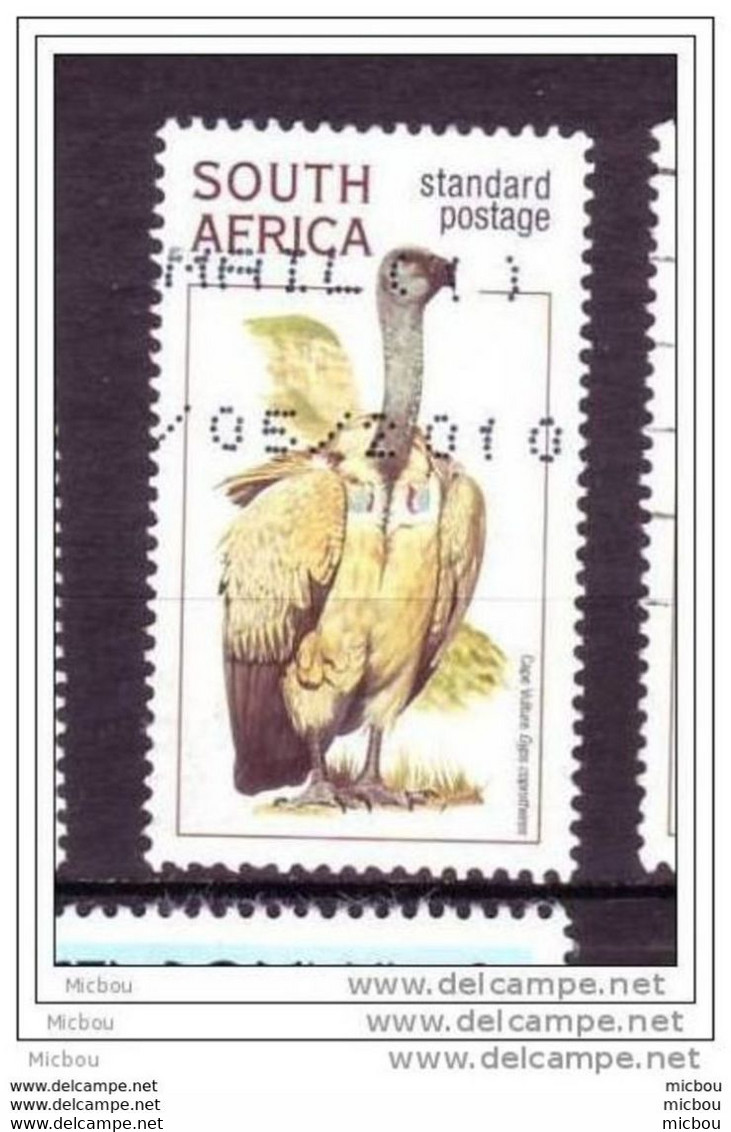 RSA, Afrique Du Sud, South Africa, Oiseau, Rapace, Bird, Vautour - Eagles & Birds Of Prey