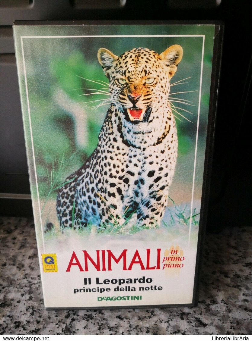 Animali - Il Leopardo Principe Della Notte  - DeAgostini - 1994 - F - Collections