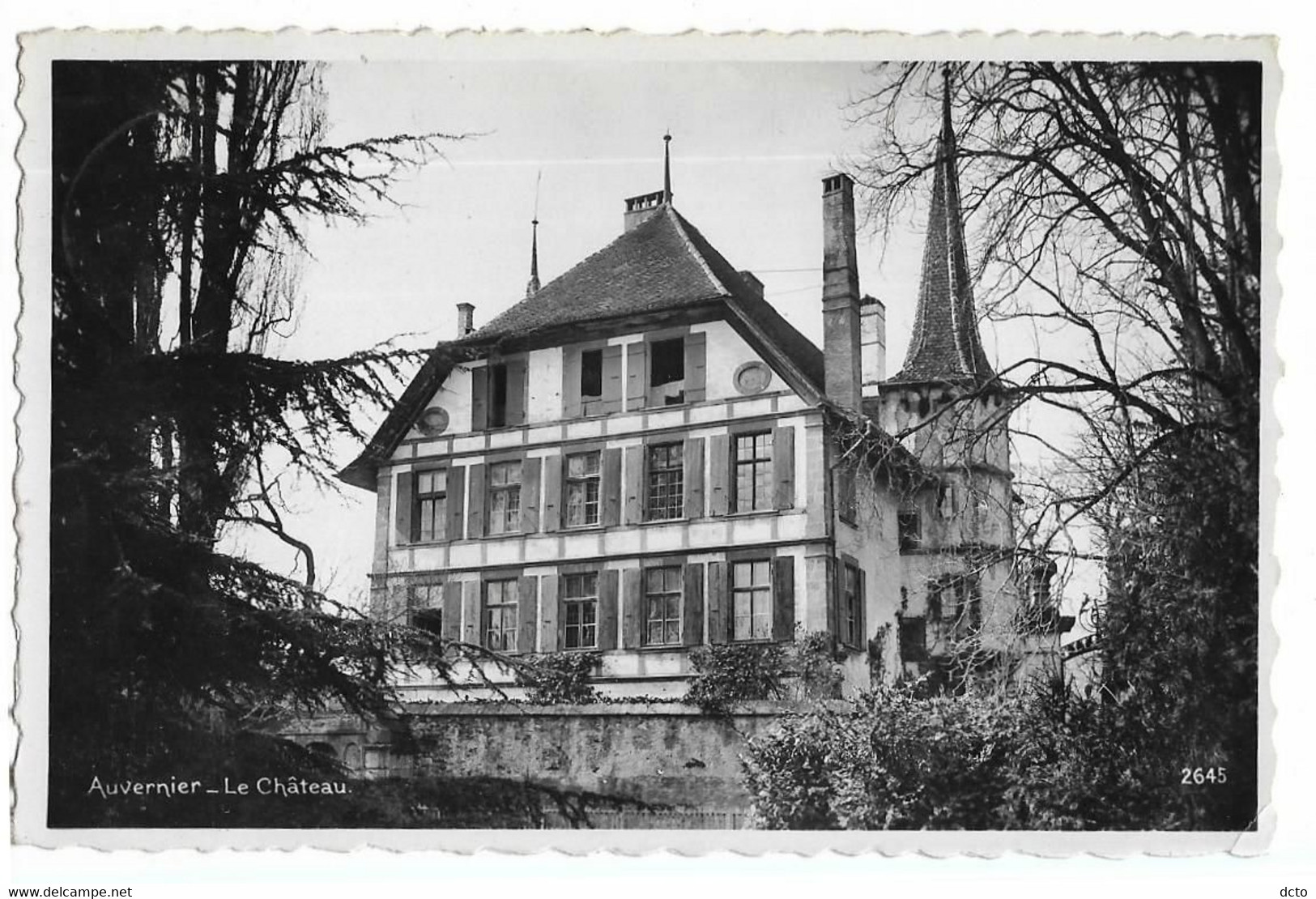 AUVERNIER Le Château (Suisse) Ed. Perrochet 2645, Cpsm Pf - Auvernier