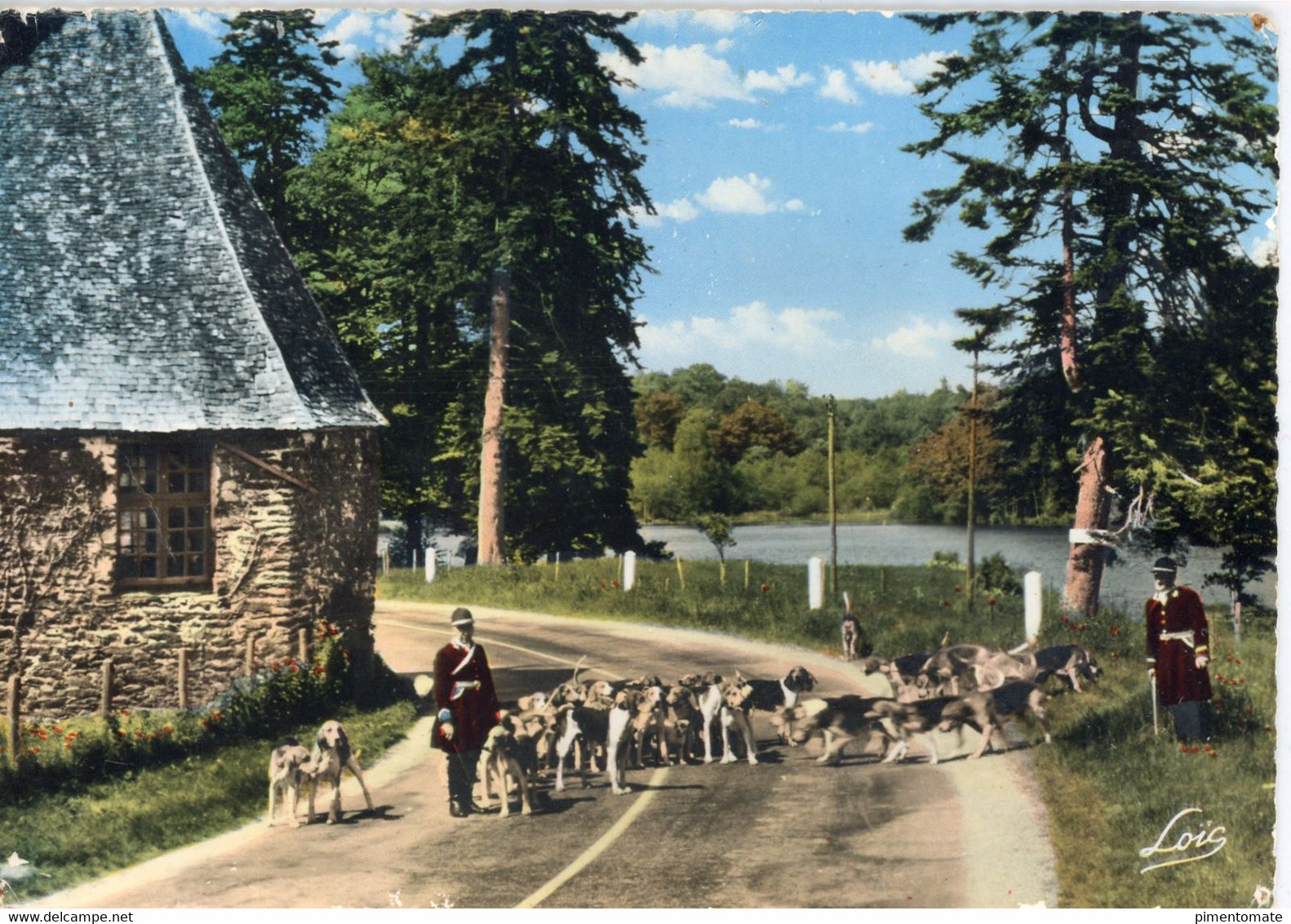 PAIMPONT LA MEUTE AUX FORGES CHIEN CHASSE A COURRE SONNEUR COR DE CHASSE - Paimpont