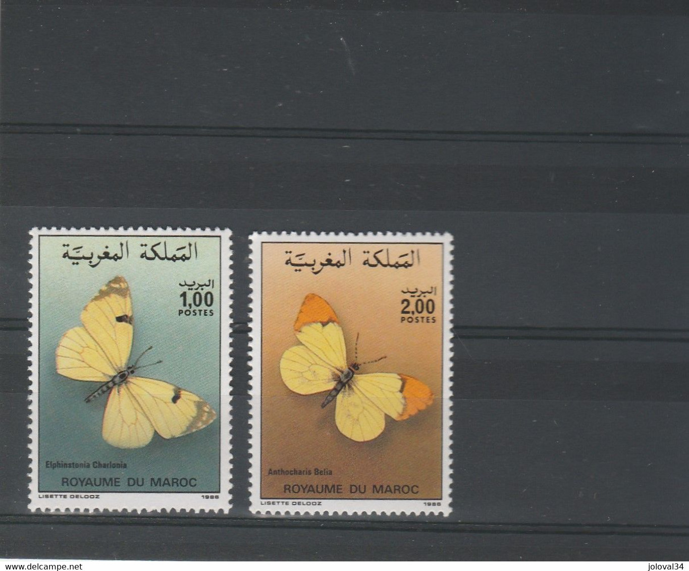 Maroc 1986 Yvert Série 1017 Et 1018 ** Neuf Sans Charnière - Insectes Papillons - Marokko (1956-...)